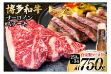 牛肉 博多和牛 サーロインステーキ 250g 3枚 計750g [株式会社くしだ企画 福岡県 筑紫野市 21761082] サーロイン ステーキ 和牛 ステーキ肉