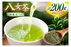 お茶 八女茶 煎茶 セット 100g 2袋 [木村食品 福岡県 筑紫野市 21761043] 茶葉 やめちゃ お茶の葉