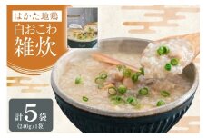 レトルト 白おこわ 雑炊 240g 5袋 計 1.2kg [エニクック 福岡県 筑紫野市 21761348] おこわ おかゆ ぞうすい 常温保存