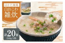 レトルト 白おこわ 雑炊 240g 20袋 計4.8kg [エニクック 福岡県 筑紫野市 21761346] おこわ おかゆ ぞうすい 常温保存