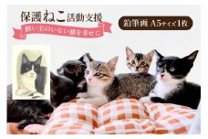 保護猫 支援 猫保護活動への支援 鉛筆画 A5 [地域ねこサポート会ちくしの 福岡県 筑紫野市 21761294] 保護 動物 猫 応援 ネコ ねこ ペット動物愛護 愛護 保護活動 クリポス メール便 メール便対応 