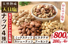 天然熟成天日塩 ナッツ4種セット(200g×4袋・合計800g)ナッツ ピスタチオ カシューナッツ ミックスナッツ アーモンド 素焼きナッツ おつまみ おやつ 晩酌 常温 常温保存【ksg0085-E】【南国フルーツ】