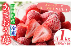 冷凍あまおう苺(約500g×2袋・計1kg)いちご イチゴ 冷凍 シャーベット 冷凍いちご ヨーグルト ジャム ＜離島配送不可＞【ksg0046】【南国フルーツ】