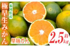 ＜先行予約受付中！2025年9月中旬～2025年9月下旬に順次発送予定＞極早生みかん 早味かん(約2.5kg)みかん ミカン フルーツ 果物 くだもの 柑橘 福岡限定 オリジナルブランド＜離島配送不可＞【ksg0117】【南国フルーツ】