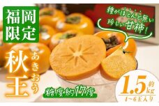 ＜先行予約受付中！2025年10月中旬～2025年11月下旬に順次発送予定＞甘柿 秋王( 約1.5kg箱・4-6玉)かき カキ フルーツ 果物 くだもの＜離島配送不可＞【ksg0122】【南国フルーツ】