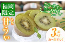 ＜先行予約受付中！2025年10月下旬～2025年11月下旬に順次発送予定＞甘うぃ キウイ(約3kg・24-30玉)キゥイ キューイ キュウイ あまうぃ フルーツ 果物 くだもの＜離島配送不可＞【ksg0125】【南国フルーツ】