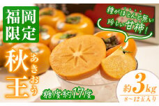 ＜先行予約受付中！2025年10月中旬～2025年11月下旬に順次発送予定＞甘柿 秋王(約3kg箱・8-12玉)かき カキ フルーツ 果物 くだもの＜離島配送不可＞【ksg0123】【南国フルーツ】