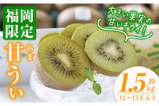 ＜先行予約受付中！2025年10月下旬～2025年11月下旬に順次発送予定＞甘うぃ キウイ(約1.5kg・12-15玉)キゥイ キューイ キュウイ あまうぃ フルーツ 果物 くだもの＜離島配送不可＞【ksg0124】【南国フルーツ】