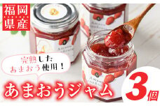 福岡産あまおうジャム(180g×3個・計540g)苺ジャム いちごジャム イチゴ ヨーグルト パン スイーツ お土産 常温【ksg0252】【南国フルーツ】