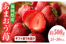 ＜先行予約受付中！2025年11月下旬～2026年3月末に順次発送予定＞あまおう苺 ギフト箱(24-30粒)いちご 苺 フルーツ 果物 くだもの 福岡限定 贈答用 冷蔵 ＜離島配送不可＞【ksg0003】【南国フルーツ】