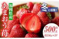 ＜先行予約受付中！2025年11月下旬～2026年1月下旬に順次発送予定＞あまおう苺・冬(2P)いちご 苺 フルーツ 果物 くだもの 福岡限定 家庭用 冷蔵 ＜離島配送不可＞【ksg0032】【南国フルーツ】