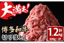 大満足！博多和牛切り落とし(600g×2P・計1.2kg) 牛肉 黒毛和牛 国産 すき焼き しゃぶしゃぶ  肩 バラ 福岡県＜離島配送不可＞【ksg0404】【MEATPLUS】