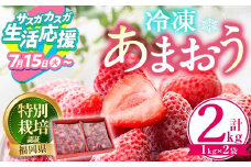 【期間限定】冷凍あまおう(計2kg・1kg×2袋) いちご イチゴ 苺 あまおう 冷凍いちご 冷凍イチゴ 国産 福岡県 特別栽培 果物 フルーツ アイス シャーベット ジャム スムージー 冷凍フルーツ ＜離島配送不可＞【ksg0438】【うるう農園】