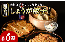 しょうが餃子詰合せ贈答用セット(餃子50個・生姜餃子30個・肉まん3個・杏仁豆腐)ぎょうざ ギョウザ 冷凍 豚まん 中華まん 手作り タレ付き 惣菜 おつまみ 贈答 ギフト プレゼント＜離島配送不可＞【ksg0529】【餃子舗博多弦月】