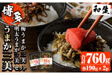 博多うまか三美つくだ煮セット(計760g)辛子高菜 明太高菜 佃煮 つくだ煮 きくらげ ご飯 おにぎり おつまみ 惣菜＜離島配送不可＞【ksg0534】【和生】