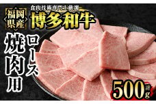 博多和牛ロース焼肉用(500g)牛肉 国産 福岡県産 ヤキニク 冷凍＜離島配送不可＞【ksg1210】【肉の筑前屋】