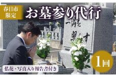 ＜春日市内のお墓対象＞お墓参り代行サービス(1回)仏花・写真報告書付き【ksg1212】【第一交通産業】