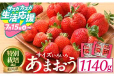 【期間限定】＜予約受付中！2025年12月中旬より順次発送予定＞＜不揃い＞あまおう(計1.14kg・285g×4P) 苺 いちご イチゴ フルーツ 果物 ヨーグルト ジャム スムージー 冷蔵 特別栽培 福岡県 国産＜離島配送不可＞【ksg1222】【うるう農園】