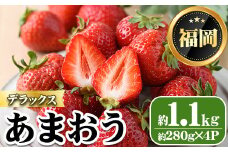 ＜先行予約受付中・数量限定＞2026年2月からお届け！あまおうデラックス(計約1.1kg) 苺 いちご イチゴ フルーツ 果物 くだもの 手作り スイーツ ＜離島配送不可＞【ksg1247】【THE FARM_strawberry】