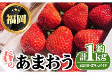 ＜先行予約受付中・数量限定＞2026年3月からお届け！春のあまおう(計約1kg・約250～270g×4P) 苺 いちご イチゴ フルーツ 果物 くだもの 手作り スイーツ ＜離島配送不可＞【ksg1250】【THE FARM_strawberry】