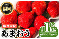 ＜先行予約受付中・数量限定＞2026年2月からお届け！厳選大粒あまおう(計約1kg・約250～270g×4P) 苺 いちご イチゴ フルーツ 果物 くだもの 手作り スイーツ ＜離島配送不可＞【ksg1249】【THE FARM_strawberry】