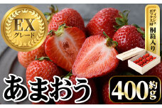 ＜先行予約受付中・数量限定＞2026年2月からお届け！プレミアムあまおうEX ティッシュボックス用特別仕様の桐箱入り(約400g) 苺 いちご イチゴ フルーツ 果物 くだもの 手作り スイーツ ギフト 贈答 ＜離島配送不可＞【ksg1251】【THE FARM_strawberry】