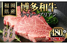 博多和牛シャトーブリアン(120g×4枚・計480g)牛肉 和牛 博多和牛 国産 ステーキ シャトーブリアン＜離島配送不可＞【ksg1285】【くしだ企画】