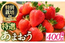 ＜予約受付中！2025年12月中旬より順次発送予定＞特選あまおう(約400g) 苺 いちご イチゴ 国産 福岡県 果物 フルーツ ヨーグルト ジャム スムージー 冷蔵 特別栽培＜離島配送不可＞【ksg1318】【うるう農園】