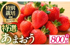 ＜予約受付中！2025年12月中旬より順次発送予定＞特選あまおう(約800g)  苺 いちご イチゴ 国産 福岡県 果物 フルーツ ヨーグルト ジャム スムージー 冷蔵 特別栽培＜離島配送不可＞【ksg1319】【うるう農園】