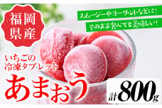 食べやすい！あまおう95%使用いちごの冷凍タブレット(計800g) 苺 フルーツ 果物 数量限定 ＜離島配送不可＞【ksg1321】【よっちゃんファーム】