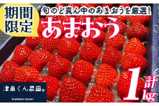 ＜先行予約受付中！2026年1月上旬から2026年2月末にかけて順次発送予定＞福岡県産いちご 津田くん農園のあまおう(計約1kg) 苺 いちご イチゴ フルーツ 果物 くだもの 数量限定 期間限定＜離島配送不可＞【ksg1323】【くしだ企画】