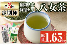【ksg1371】＜定期便・全3回(連続)＞福岡銘茶八女茶 特選セット(総量1.65kg)【マル五】