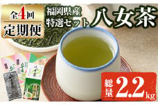 【ksg1372】＜定期便・全4回(連続)＞福岡銘茶八女茶 特選セット(総量2.2kg)【マル五】