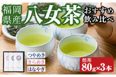 福岡県産八女茶 おすすめ飲み比べ(煎茶80g×3本) お茶 緑茶 八女茶 煎茶 茶 茶葉 飲み比べ 常温 常温保存【ksg1605】【お茶の星陽園】