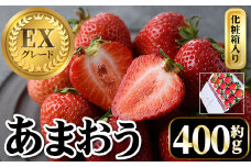 ＜先行予約受付中・数量限定＞2026年2月からお届け！プレミアムあまおうEX 化粧箱入り(約400g) 苺 いちご あまおう イチゴ フルーツ 果物 くだもの 手作り スイーツ ギフト 贈答 数量限定 冷蔵 ＜離島配送不可＞【ksg1675】【THE FARM_strawberry】