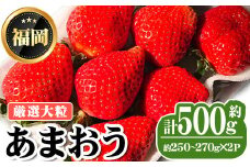 ＜先行予約受付中・数量限定＞2026年2月からお届け！厳選大粒あまおう(計約500g・約250～270g×2P) 苺 いちご イチゴ フルーツ 果物 くだもの 手作り スイーツ 冷蔵 ＜離島配送不可＞【ksg1677】【THE FARM_strawberry】