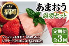 《先行予約受付中・数量限定》＜定期便・全3回(3月・6月・8月)＞2026年3月からお届け！あまおう満喫セット(あまおう：計約1kg・ジェラート2種：計720ml・冷凍いちご：1.5kg) 苺 定期便 ＜離島配送不可＞【ksg1718】【THE FARM_strawberry】【ksg1718】【THE FARM_strawberry】