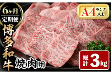 ＜全6回定期(毎月)＞博多和牛焼肉用(総計3kg)牛肉 黒毛和牛 国産 BBQ 化粧箱 贈答 ギフト プレゼント 定期便＜離島配送不可＞【ksg1720】【MEATPLUS】