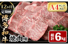 ＜全12回定期(毎月)＞博多和牛焼肉用(総計6kg)牛肉 黒毛和牛 国産 BBQ 化粧箱 贈答 ギフト プレゼント 定期便＜離島配送不可＞【ksg1721】【MEATPLUS】