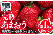 ＜先行予約受付中！2026年1月上旬から2026年4月末にかけて順次発送予定＞サイズおまかせ！ 完熟 あまおう(計約1kg・500g×2P) 苺 いちご イチゴ フルーツ 果物 くだもの 数量限定 期間限定＜離島配送不可＞【ksg1769】【くしだ企画】