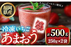 福岡県産 冷凍 あまおう(500g) 苺 いちご イチゴ ヨーグルト アイス シャーベット ジャム スムージー ＜離島配送不可＞【ksg1774】【木村食品】