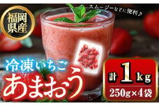 福岡県産 冷凍 あまおう(1kg) 苺 いちご イチゴ ヨーグルト アイス シャーベット ジャム スムージー ＜離島配送不可＞【ksg1775】【木村食品】