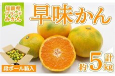 ＜先行予約受付中！2025年9月中旬～10月下旬に順次発送予定＞福岡ブランドみかん 早味かん (約計5kg) みかん ミカン フルーツ 果物 くだもの 柑橘 福岡限定 オリジナルブランド ＜離島配送不可＞【ksg1760】【農産物直売所ほたるの里】