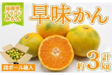 ＜先行予約受付中！2025年9月中旬～10月下旬に順次発送予定＞福岡ブランドみかん 早味かん (約計3kg) みかん ミカン フルーツ 果物 くだもの 柑橘 福岡限定 オリジナルブランド ＜離島配送不可＞【ksg1759】【農産物直売所ほたるの里】