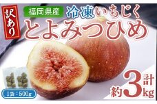 ＜不揃い・訳あり＞ 冷凍いちじく博多 とよみつひめ (計約3kg) 冷凍 いちじく イチジク フルーツ 果物 くだもの 福岡限定 オリジナルブランド＜離島配送不可＞【ksg1758】【農産物直売所ほたるの里】
