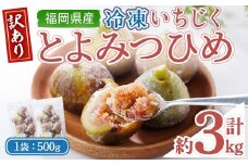 ＜不揃い・訳あり＞ 冷凍いちじく博多 とよみつひめ (計約3kg) 冷凍 いちじく イチジク フルーツ 果物 くだもの 福岡限定 オリジナルブランド＜離島配送不可＞【ksg1758】【農産物直売所ほたるの里】