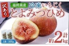 ＜不揃い・訳あり＞ 冷凍いちじく博多 とよみつひめ (計約2kg) 冷凍 いちじく イチジク フルーツ 果物 くだもの 福岡限定 オリジナルブランド＜離島配送不可＞【ksg1757】【農産物直売所ほたるの里】
