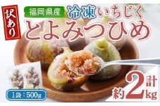 ＜不揃い・訳あり＞ 冷凍いちじく博多 とよみつひめ (計約2kg) 冷凍 いちじく イチジク フルーツ 果物 くだもの 福岡限定 オリジナルブランド＜離島配送不可＞【ksg1757】【農産物直売所ほたるの里】