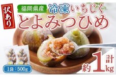 ＜不揃い・訳あり＞ 冷凍いちじく博多 とよみつひめ (計約1kg) 冷凍 いちじく イチジク フルーツ 果物 くだもの 福岡限定 オリジナルブランド＜離島配送不可＞【ksg1756】【農産物直売所ほたるの里】