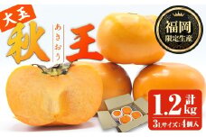 ＜先行予約受付中！2025年10月下旬～11月下旬に順次発送予定＞秋のフルーツの王様・ブランド柿 秋王 (約計1.2kg・3Lサイズ4玉入り) かき カキ フルーツ 果物 くだもの 福岡限定 オリジナルブランド ＜離島配送不可＞【ksg1755】【農産物直売所ほたるの里】